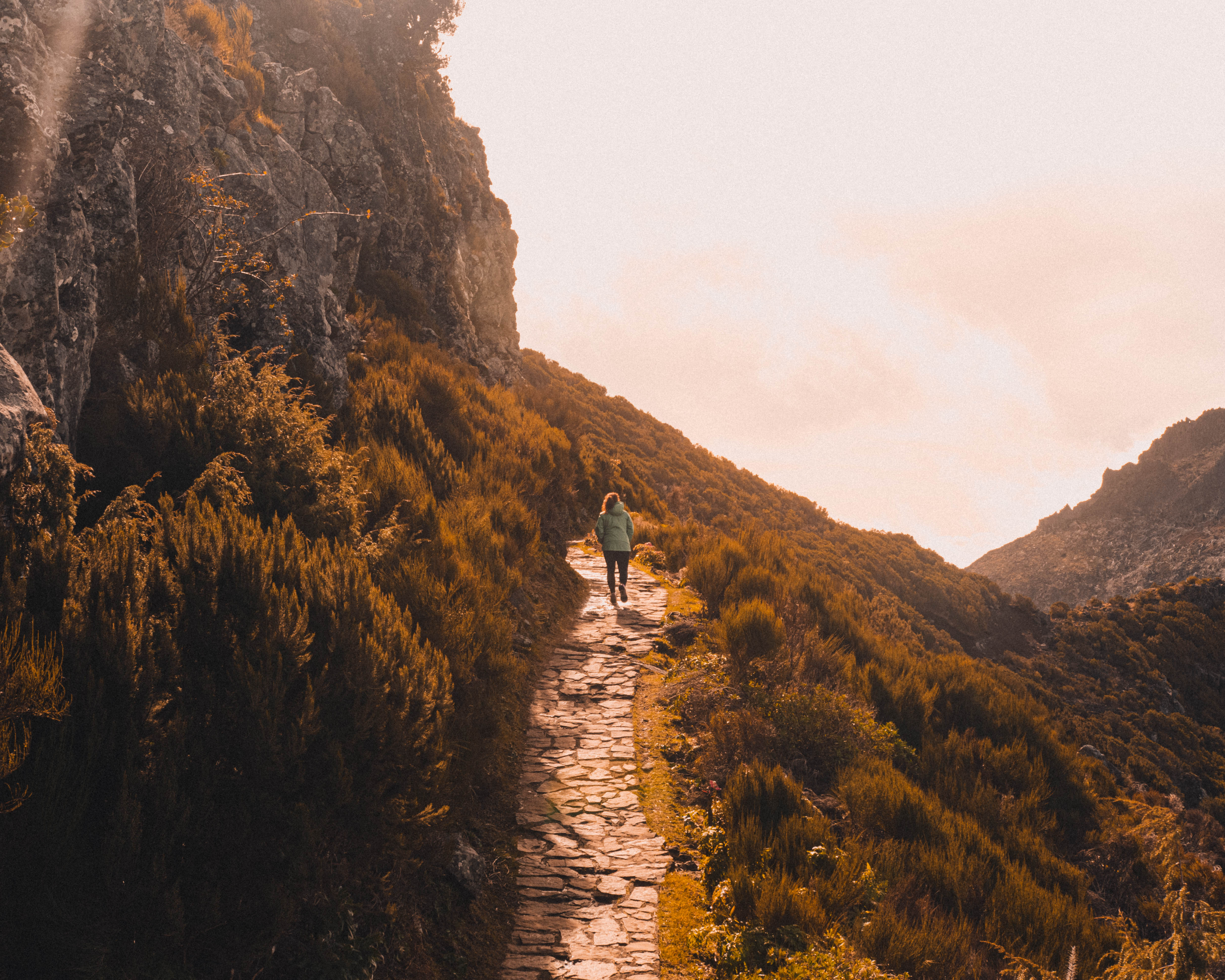 Hiker ascending cobblestone trail flanked by golden highland shrubs